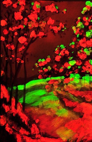 2009kozmice uv 50x70 akryl